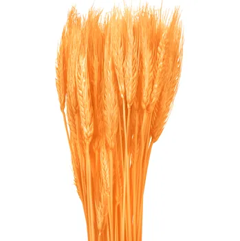 Sušené triticum vousaté oranžové 100 g