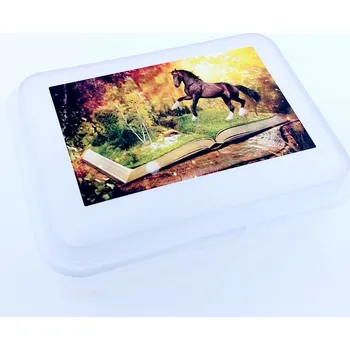Dóza na potraviny Tvar svačinový box Kůň, čírý 18 x 13 x 7 cm 1913ci