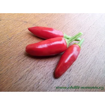 Semeno chilli-semena Etna Peperoncino