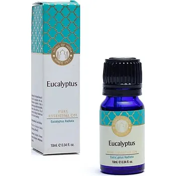Esenciální olej Eukalyptus