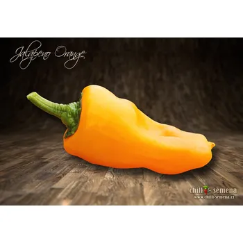Semeno chilli-semena Jalapeno Orange