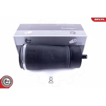 Vzduchová pružina, podvozek ESEN SKV 58SKV016