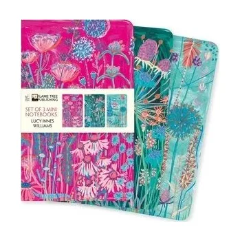 Cizojazyčná kniha Lucy Innes Williams Set of 3 Mini Notebooks