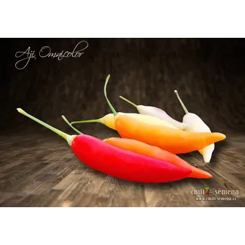 Semeno chilli-semena Aji Omnicolor