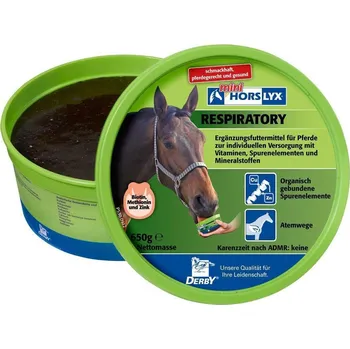 Pro koně Horslyx Liz pro koně Respiratory HORSLYX, 650 g