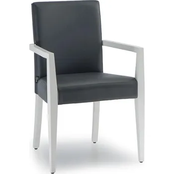 Jídelní židle NábytekProNás Designové křesílko DIANA 220