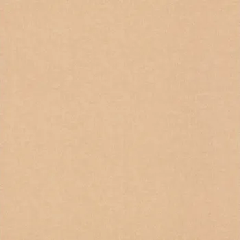 Tapeta Dětská vliesová tapeta jednobarevná, okrová 252866 / Tapety na zeď Kids world (0,53 x 10,05 m) Rasch