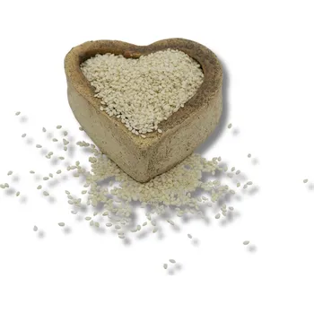 Sušená potravina FITBOY Sezam loupaný 500g 500g