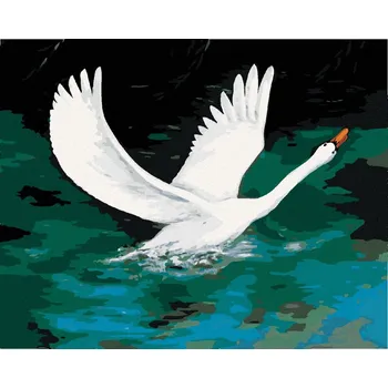 Hračka Diamondi Diamantové malování - BÍLÁ LABUŤ NA ČERNÉM JEZEŘE Rozměr: 40x50 cm, Rámování: bez rámu a bez vypnutí plátna