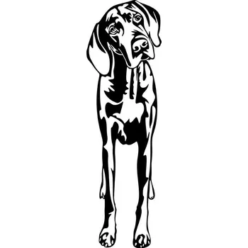 Vsepropejska Výmarský ohař 2 dřevěná dekorace na zeď Rozměr (cm): 38 x 12