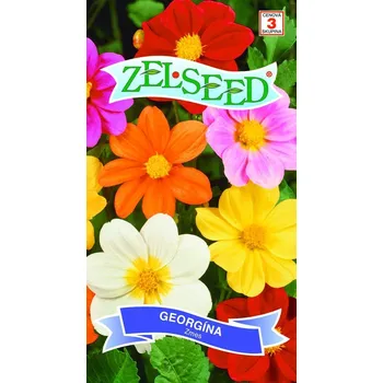 Semeno Jiřinka proměnlivá (nízká, směs) 12/2025