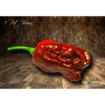 Semeno chilli-semena 7 Pot Brown