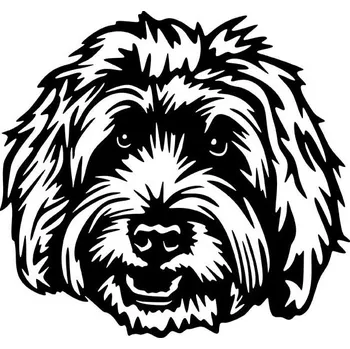 Vsepropejska Labradoodle 2 dřevěná dekorace na zeď