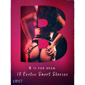 Kniha B is for BDSM: 13 Erotic Short Stories Ekniha