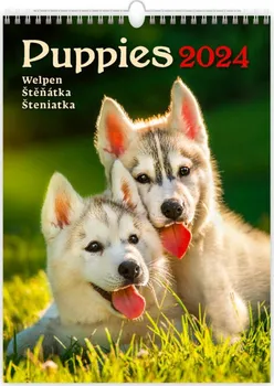 Kalendář Helma365 Kalendář nástěnný N181-24 Puppies 2024