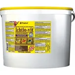 Tropical Ichtio-vit