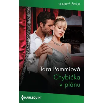 Kniha Chybička v plánu