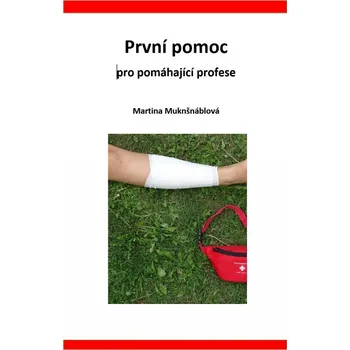 Kniha První pomoc pro pomáhající profese