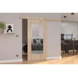 Nábytek PEGAS s.r.o. Posuvné dveře na stěnu NELA 106 Sonoma