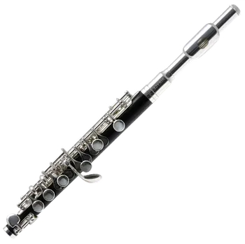 Flétna Trevor James VIVACE - Vivace