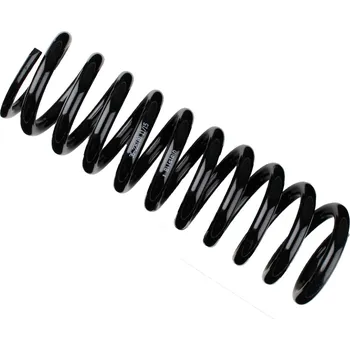 Pružina podvozku, , 1243241104, A1243241104, BILSTEIN, 36-226108