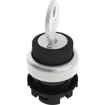 Pizzato Elettrica E21SC2DVA19AA E21SC2DVA19AA klíčový spínač černá 1 x 90 ° 1 ks