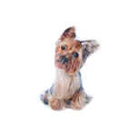 Polštářek Jorkšír tvarovaný 25 x 38 cm 