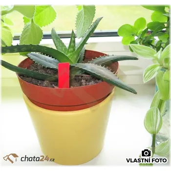 Zahradní dekorace Popisky na rostliny - malé červené