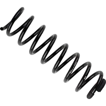 Pružina podvozku, , 2113210404, A2113210404, BILSTEIN, 37-274573