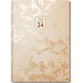 Diář Baloušek Tisk Prokop Lamino B6 týdenní 2024