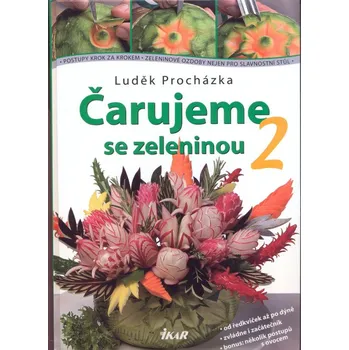 Ikar Čarujeme se zeleninou 2 Lit2