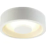 BIG WHITE OCCULDAS 23, stropní svítidlo, LED, 3000K, kulaté, bílé, 25 W 117321