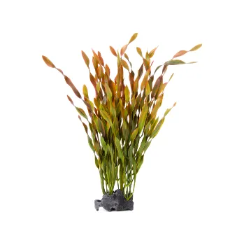 Dekorace do akvária JK ANIMALS rostlina Vallisneria kámen 33 cm