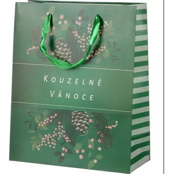 Dárková krabička Vánoční dárková taška 23 x 18 x 10 cm - zelená - Kouzelné Vánoce