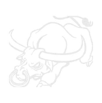 Samolepící dekorace SAMOLEPKA Býk 014 levá rozzuřený (84 - Ultra Metalic bílá) NA AUTO, NÁLEPKA, FÓLIE, POLEP, TUNING, VLASTNÍ TEXT, TISK, AUTOSAMOLEPKY.cz, POLEPY, OBRÁZEK, LOGO, SAMOLEPKY