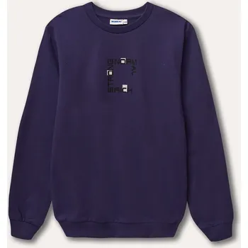 Chlapecká mikina Chlapecká mikina Strong - fialová 152