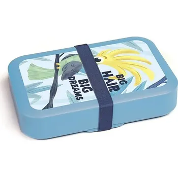 Svačinový box DBP Box na svačinu Papoušek s gumičkou