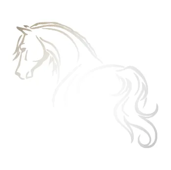Samolepící dekorace SAMOLEPKA Kůň 104 levá (82 - odrazková reflexní bílá) NA AUTO, NÁLEPKA, FÓLIE, POLEP, TUNING, VLASTNÍ TEXT, TISK, AUTOSAMOLEPKY.cz, POLEPY, OBRÁZEK, LOGO, SAMOLEPKY