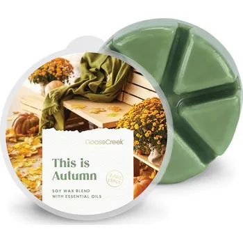 vonný vosk Goose Creek Candle Vonný Vosk This Is Autumn, 59 g