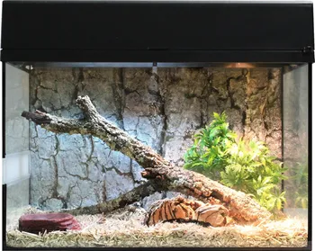 Terárium Lucky Reptile Starter Kit Snake černé 80 x 40 x 52 cm