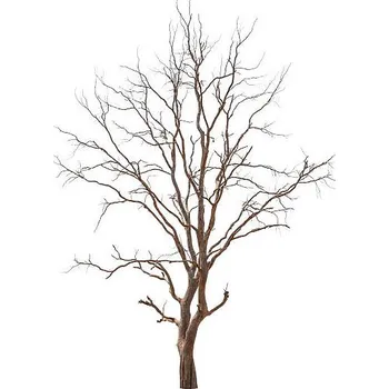 Plakát Plakát, Obraz - Old and dead tree, iJacky