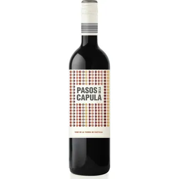 Víno Bodegas Abanico Abanico Pasos de la Capula Syrah 2022