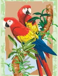 Royal & Langnickel Papoušci 22 x 30 cm