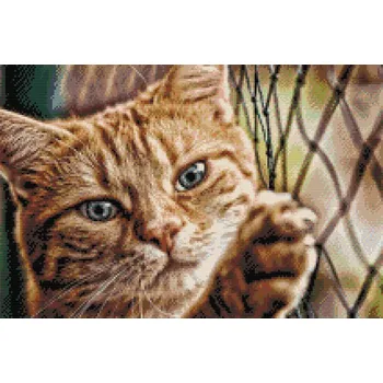 Diamantové malování Diamantové malování - Kočka na plotě Velikost: 40x60cm, Rámování: Pouze srolované plátno, Diamanty: Čtvercové