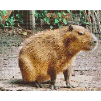 Diamantové malování Diamantové malování - Capybara Velikost: 40x50cm, Rámování: Pouze srolované plátno, Diamanty: Čtvercové