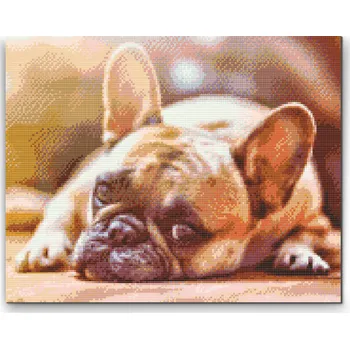 Diamantové malování Diamantové malování - Buldoček Velikost: 30x40cm, Rámování: Pouze srolované plátno, Diamanty: Kulaté