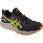 Asics Gel-Sonoma 7 GTX 1011B593-020