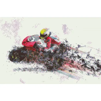Diamantové malování Diamantové malování - Zběsilá jízda Velikost: 40x60cm, Rámování: Pouze srolované plátno, Diamanty: Kulaté