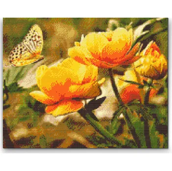 Diamantové malování Diamantové malování - Motýl s květy Velikost: 30x40cm, Rámování: Pouze srolované plátno, Diamanty: Čtvercové