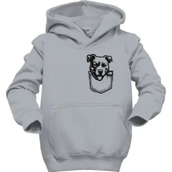 Chlapecká mikina Dětská mikina s kapucí s potiskem Dětská mikina Staford Pocket dětské